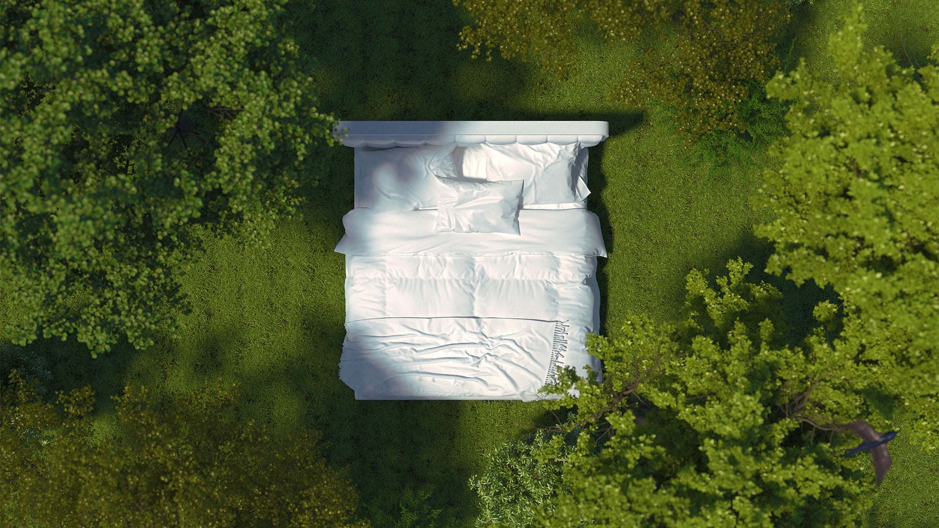 White mattress with the white bedframe in the forest.